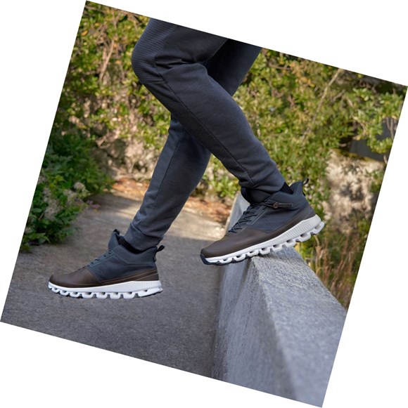 Brown / Blue Men's On Cloud Hi Sneakers | 73195-XMEH